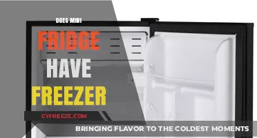 Compact Cooling: Exploring Mini Fridges with Freezer Compartments