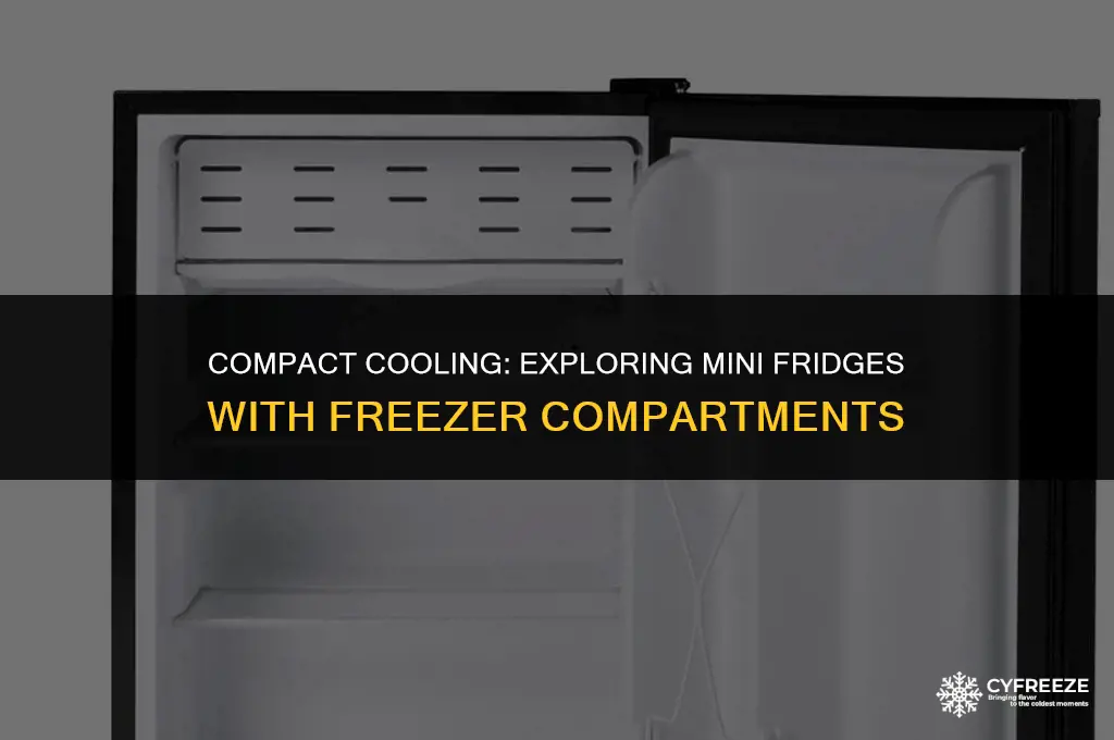 does mini fridge have freezer