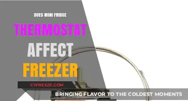 Impact of Mini Fridge Thermostat Settings on Freezer Performance