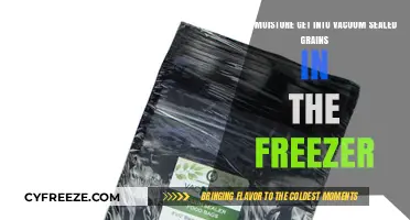 Vacuum Sealed Grains in Freezer: Does Moisture Penetrate the Seal?