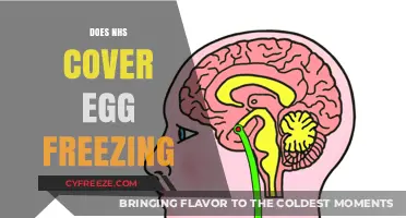 Does the NHS Cover Egg Freezing? Costs, Eligibility, and Alternatives