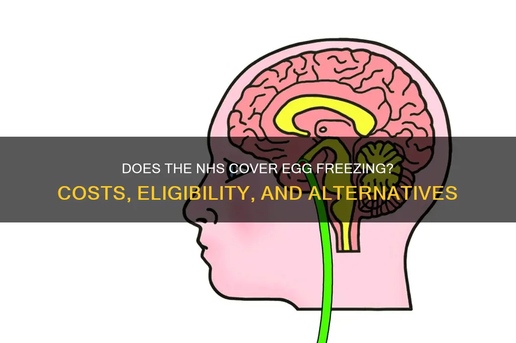 does nhs cover egg freezing