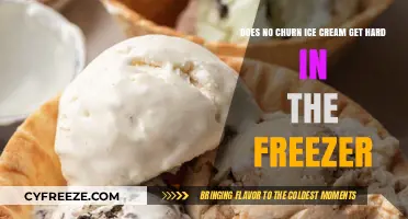 The Scoop on No-Churn Ice Cream: Freezer Texture Explained