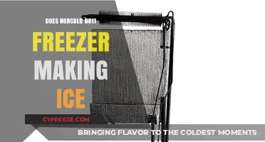 Troubleshooting the Norcold N811 Freezer: Ice Production Issues Explained