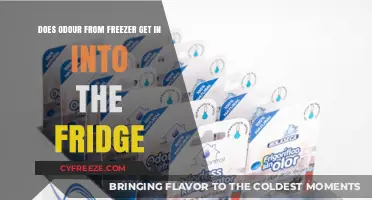 Preventing Freezer Odor from Invading Your Refrigerator: Tips and Tricks