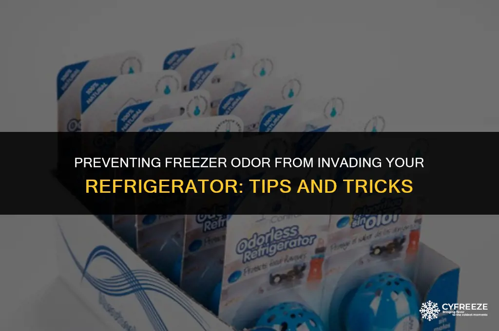 does odour from freezer get in into the fridge