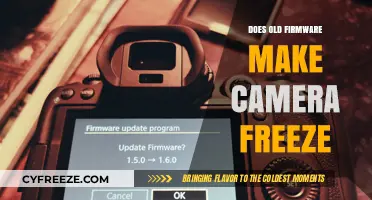 Exploring the Impact of Outdated Firmware on Camera Performance