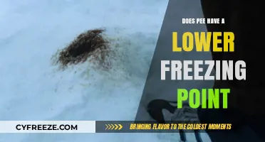 Does Pee Freeze Slower? Exploring Its Unique Freezing Point