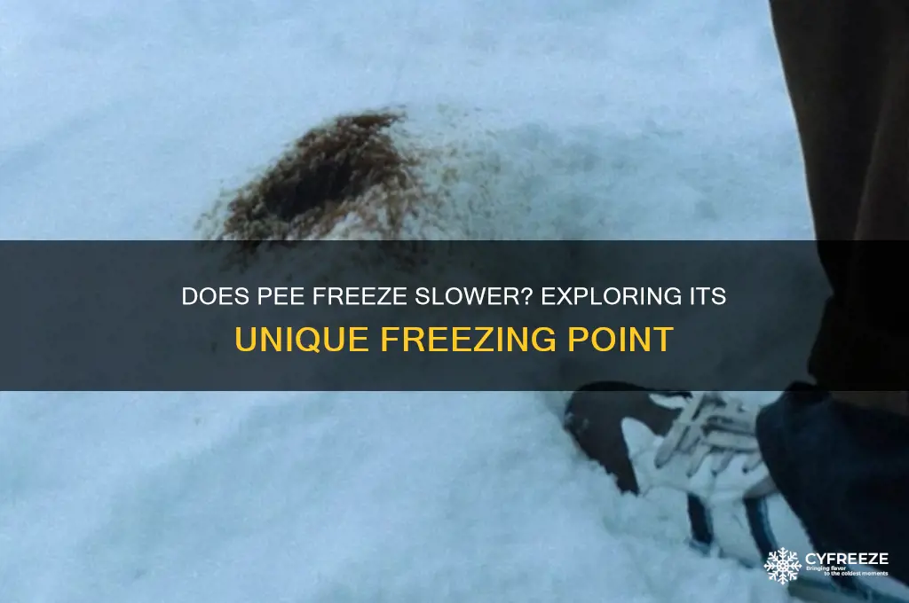 does pee have a lower freezing point