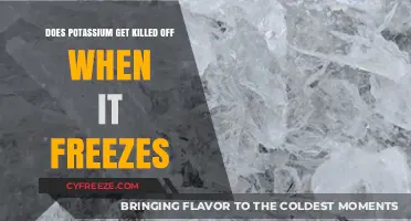 Does Freezing Destroy Potassium? Unraveling the Myth and Facts