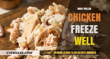 Freezing Pulled Chicken: A Complete Guide to Preservation and Quality