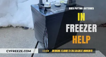 Chilling Batteries: Does Freezing Really Extend Their Lifespan?
