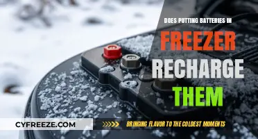 Myth-Busting: Can You Really Recharge Batteries by Freezing Them?
