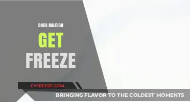 Does Raleigh Experience Freezing Temperatures? Exploring Winter Weather Patterns