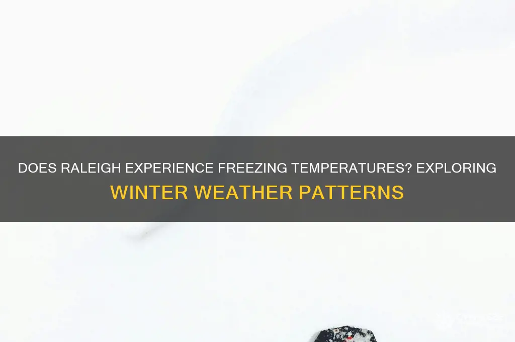 does raleigh get freeze