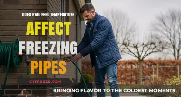 Real Feel Temperature: How It Impacts Freezing Pipes and Prevention
