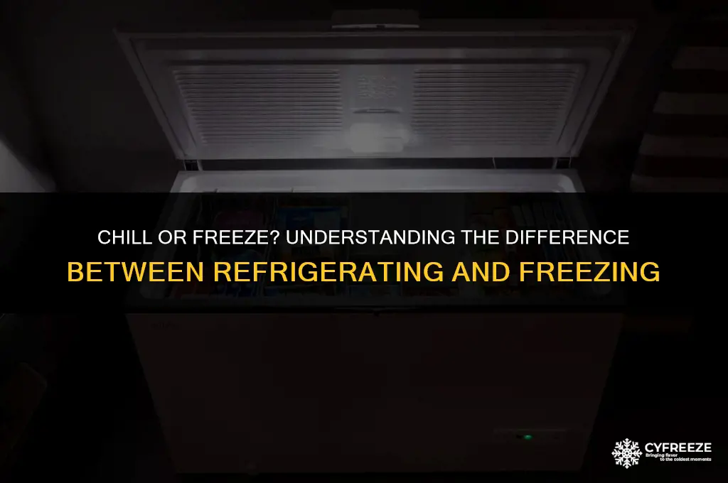 does refrigerate mean fridge or freezer