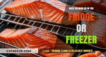 Chill or Freeze: The Optimal Storage for Fresh Salmon