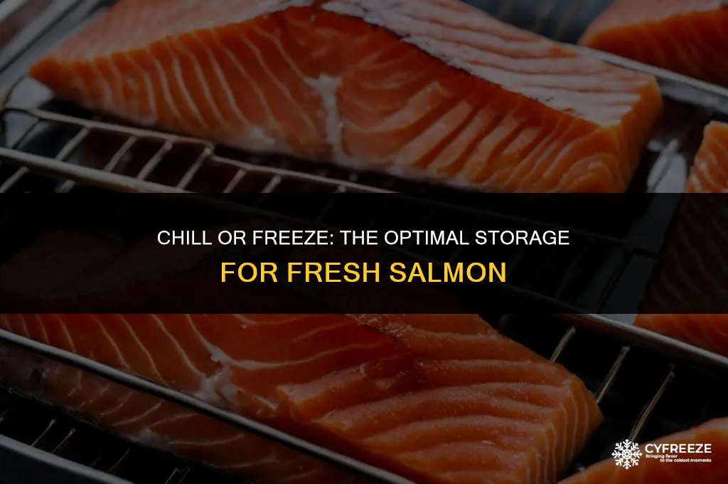 does salmon go in the fridge or freezer