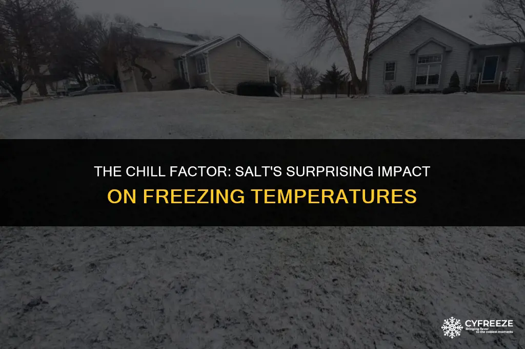 does salt make something freeze faster or make it colder