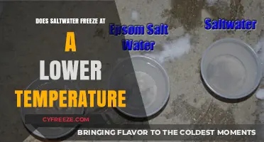 Saltwater's Freezing Point: Unraveling the Science Behind Lower Temperatures