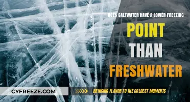 Saltwater vs. Freshwater: Exploring the Freezing Point Difference