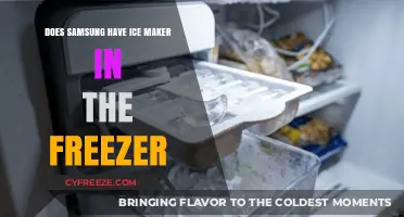 Exploring Samsung's In-Freezer Ice Makers: Convenience or Myth?