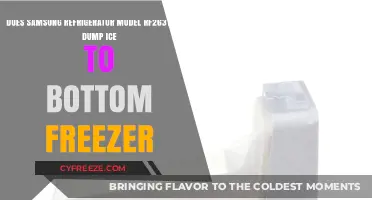 Samsung RF263TEAESG: Ice Dumping Dilemma in Bottom Freezer Models