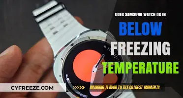 Samsung Watch Performance in Below-Freezing Temperatures: What to Expect