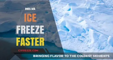 Chilling Insights: The Surprising Speed of Sea Ice Formation