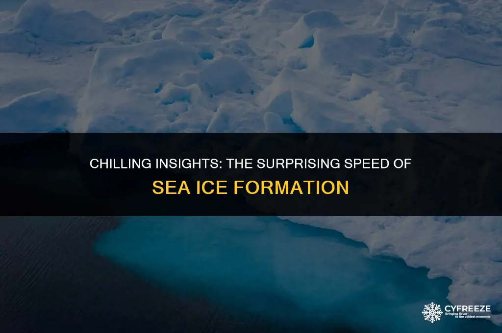 does sea ice freeze faster