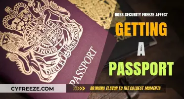 Security Freeze and Passport Applications: What You Need to Know