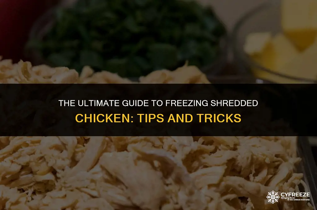 does shredded chicken freeze well