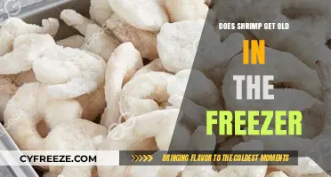 How Long Does Shrimp Last in the Freezer? Tips to Preserve Freshness