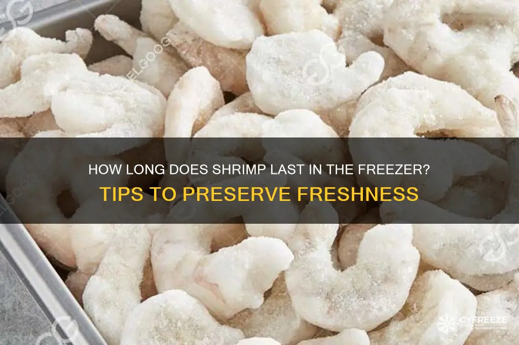 does shrimp get old in the freezer