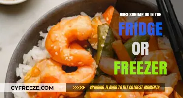 Chill or Freeze: The Ultimate Shrimp Storage Dilemma Solved