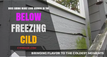 Does Siding Make Loud Sounds in Below-Freezing Cold?
