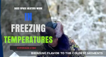 Do Space Heaters Work in Freezing Temperatures? A Comprehensive Guide