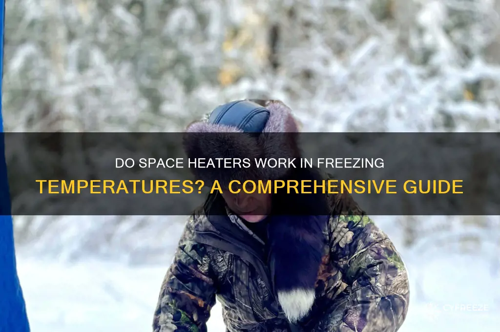 does space heaters work in freezing temperatures