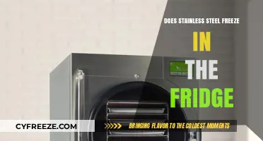Chilling Facts: Does Stainless Steel Freeze in the Fridge?