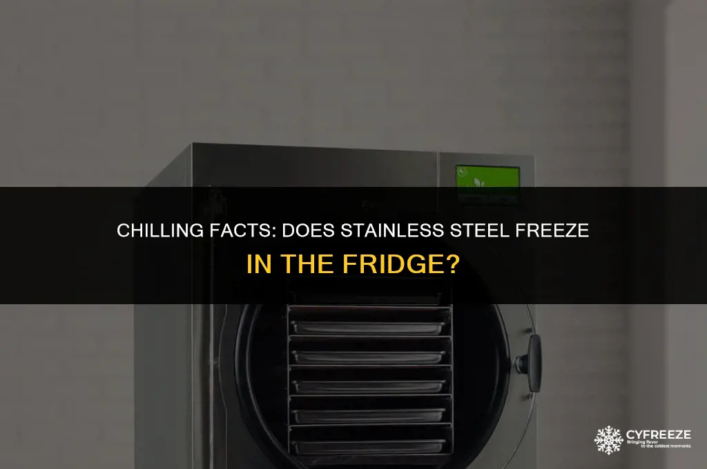 does stainless steel freeze in the fridge