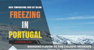 Does Portugal Ever Freeze? Exploring Winter Temperatures in the Country
