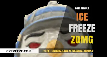 Exploring the Chilling Mystery: Does Temple Ice Freeze Zombies?