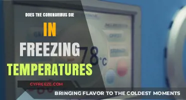 Freezing Temperatures and COVID-19: Does Cold Weather Kill the Virus?