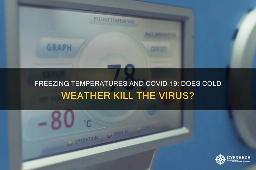 does the coronavirus die in freezing temperatures