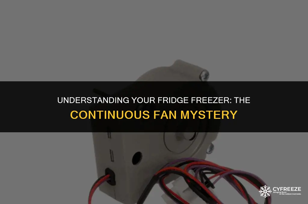 does the fan in a fridge freezer always run