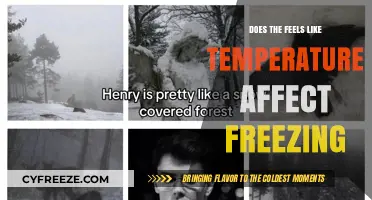 Does 'Feels Like' Temperature Impact Freezing Conditions?
