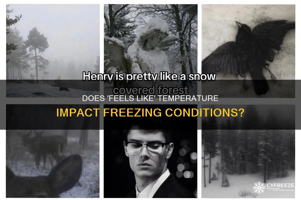 does the feels like temperature affect freezing
