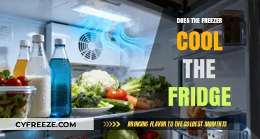 Chill Dynamics: How Your Freezer Impacts Refrigerator Cooling