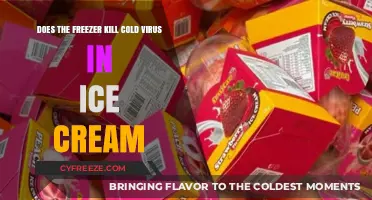 Chilling Truth: Does Freezing Ice Cream Destroy Cold Viruses?
